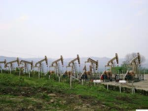 WFT RRP in Mexico